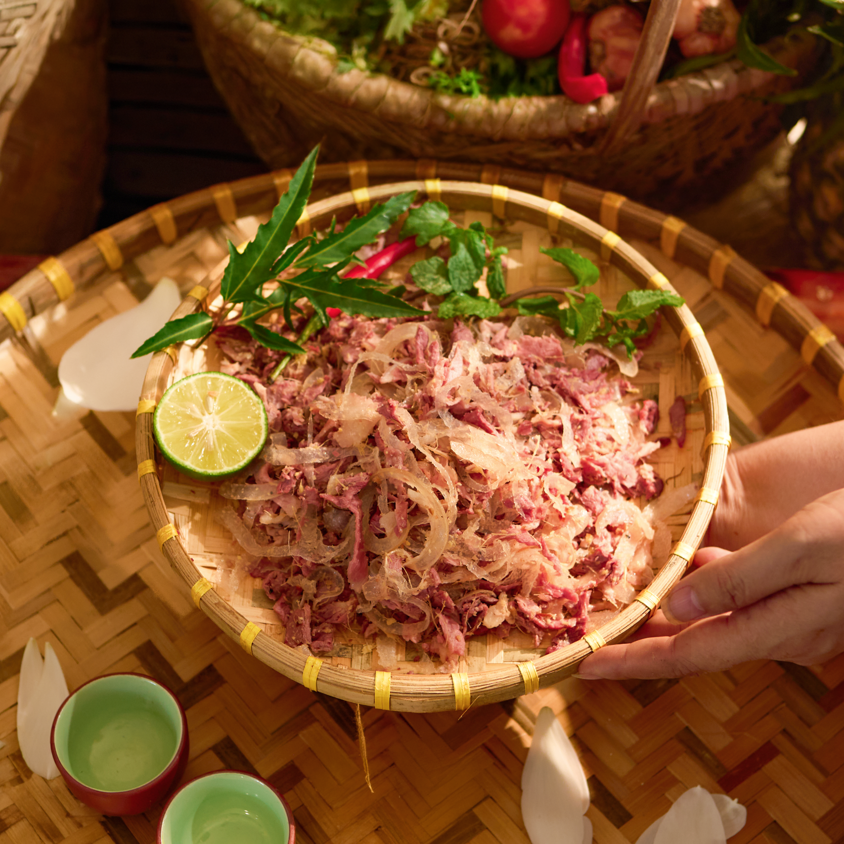 Nem Ngựa Plus