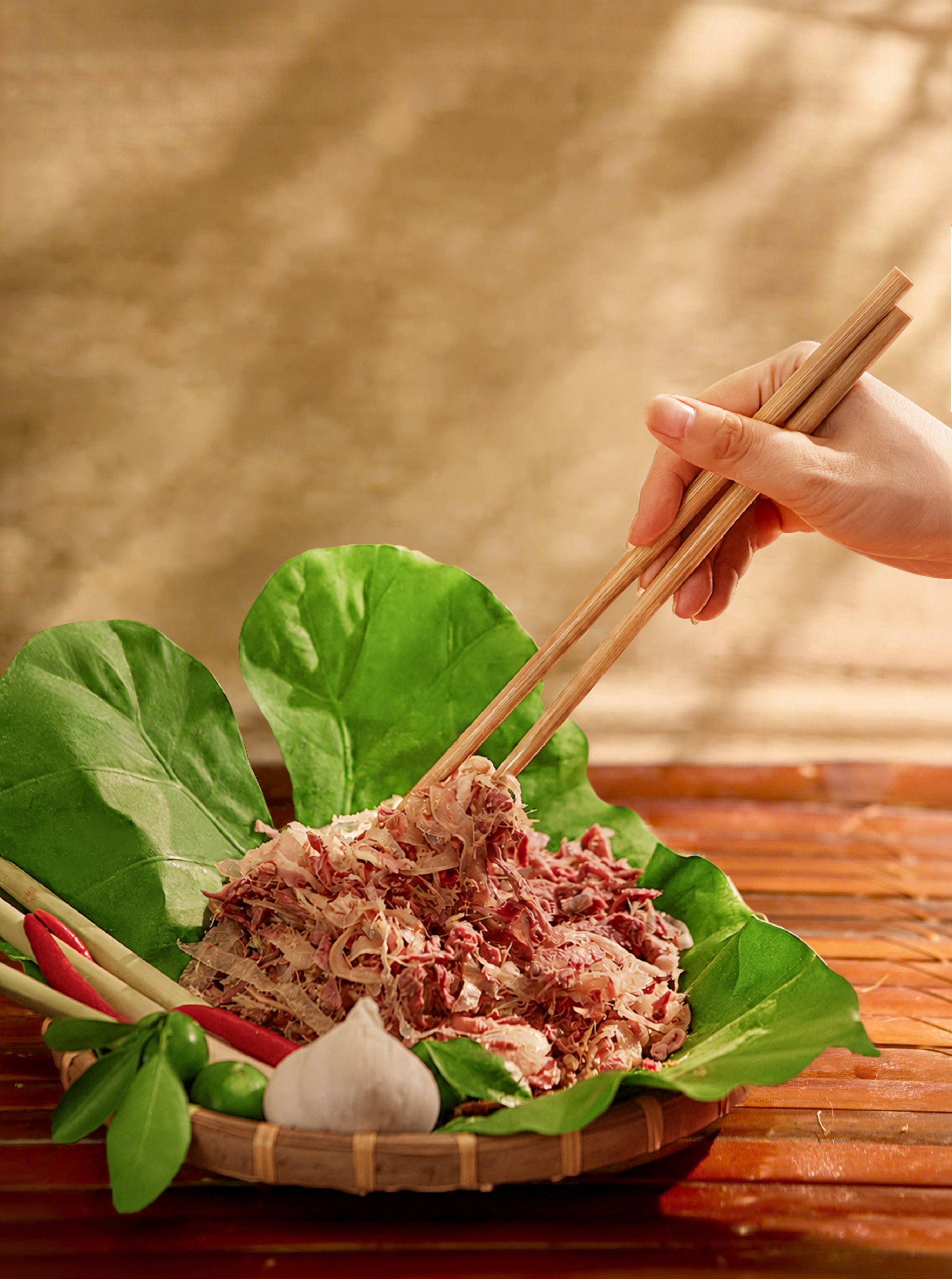 Nem Ngựa Plus